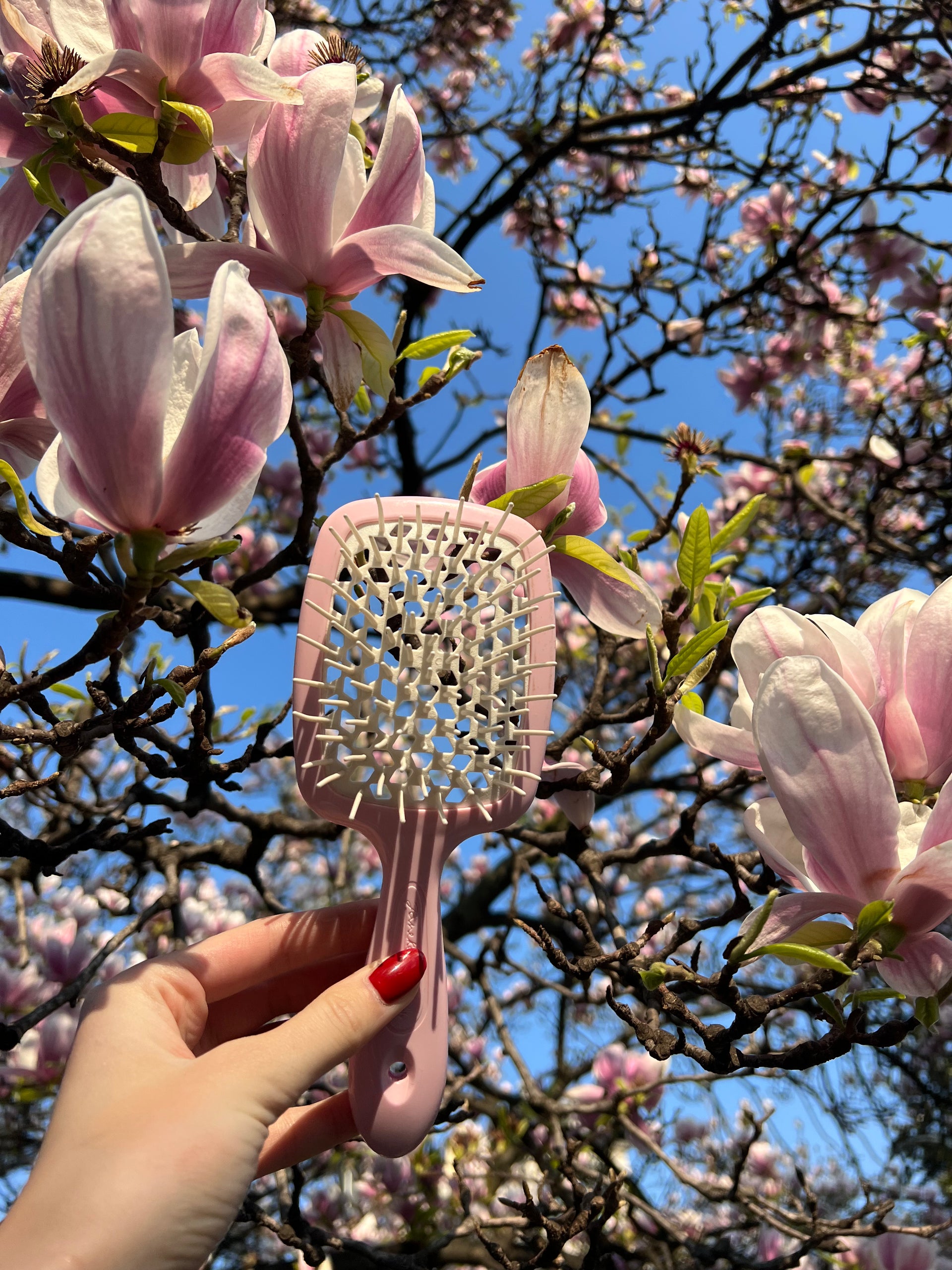 Pink hairbrush held in front of a flowering tree with pink blossoms.